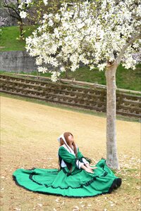 Rating: Safe Score: 0 Tags: 1girl brown_hair closed_eyes dress flower green_dress long_sleeves sitting solo suiseiseki white_flower User: admin