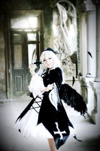 Rating: Safe Score: 0 Tags: 1girl bird black_feathers black_wings crow feathered_wings feathers holding long_sleeves looking_at_viewer solo standing suigintou white_hair wings User: admin