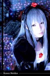 Rating: Safe Score: 0 Tags: 1girl bangs blurry blurry_background closed_mouth depth_of_field dress flower gothic_lolita hair_flower hairband lips long_hair looking_at_viewer red_flower ribbon rose solo suigintou upper_body User: admin