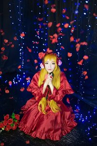 Rating: Safe Score: 0 Tags: 1girl blonde_hair blue_eyes dress flower hair_ornament long_hair petals red_dress red_flower red_rose rose shinku solo star_(sky) water User: admin