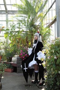 Rating: Safe Score: 0 Tags: 1girl boots dress flower long_hair pantyhose plant potted_plant solo standing suigintou white_hair User: admin