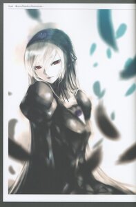 Rating: Safe Score: 0 Tags: 1girl black_dress blurry blurry_background blurry_foreground closed_mouth depth_of_field dress feathers image long_hair long_sleeves looking_at_viewer pale_skin red_eyes simple_background smile solo striped suigintou white_background white_hair User: admin