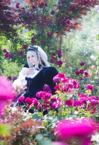 Rating: Safe Score: 0 Tags: 1girl black_dress blurry depth_of_field dress flower frills gothic_lolita hairband lolita_fashion long_hair red_eyes solo suigintou white_hair User: admin