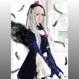 Rating: Safe Score: 0 Tags: 1girl bird black_feathers black_wings crow dove dress feathers flower frills lips long_hair long_sleeves looking_at_viewer rose seagull silver_hair solo suigintou wings User: admin