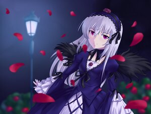 Rating: Safe Score: 0 Tags: 1girl black_wings blurry blurry_foreground depth_of_field dress flower frills hairband image juliet_sleeves lolita_hairband long_hair long_sleeves looking_at_viewer motion_blur petals pink_eyes puffy_sleeves ribbon rose rose_petals silver_hair solo suigintou wings User: admin