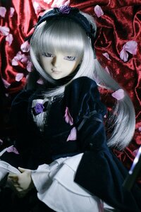 Rating: Safe Score: 0 Tags: 1girl bangs bug butterfly doll dress flower hair_ornament insect lips long_hair long_sleeves looking_at_viewer rose solo suigintou User: admin