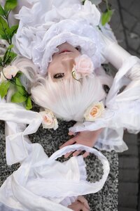 Rating: Safe Score: 0 Tags: 1girl bangs dress flower kirakishou lace lips looking_at_viewer rose solo white_dress white_flower white_hair white_rose User: admin