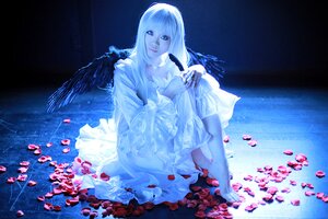 Rating: Safe Score: 0 Tags: 1girl angel angel_wings barefoot blue_eyes dress feathered_wings flower lips long_hair looking_at_viewer petals petals_on_liquid rose_petals sitting solo suigintou water white_dress white_hair wings User: admin