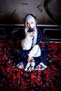 Rating: Safe Score: 0 Tags: 1girl black_wings blood cross dress feathers flower frills hairband long_hair long_sleeves red_eyes red_flower red_rose rose sitting solo suigintou weapon white_hair wings User: admin