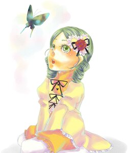 Rating: Safe Score: 0 Tags: 1girl blue_butterfly bug butterfly butterfly_hair_ornament dress drill_hair flower frills green_eyes green_hair hair_ornament image insect kanaria long_sleeves open_mouth rose solo User: admin