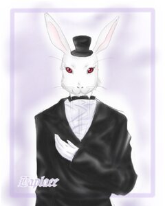 Rating: Safe Score: 0 Tags: black_jacket bowtie bunny formal hat image laplace_no_ma long_sleeves looking_at_viewer red_eyes solo striped striped_background suit top_hat upper_body white_hair User: admin