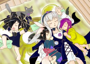 Rating: Safe Score: 0 Tags: 4girls animal_ears barefoot black_hair cat cat_ears choker closed_eyes dress drill_hair hairband image long_hair multiple_girls purple_hair rose sleeping solo suigintou twintails wings User: admin