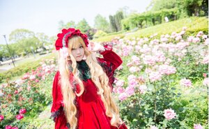 Rating: Safe Score: 0 Tags: 1girl blonde_hair blue_eyes dress flower garden long_hair long_sleeves looking_at_viewer outdoors pink_flower red_dress shinku smile solo very_long_hair User: admin