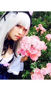 Rating: Safe Score: 0 Tags: 1girl bangs flower lips long_hair pink_flower red_eyes ribbon solo suigintou white_hair User: admin