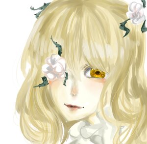 Rating: Safe Score: 0 Tags: 1girl bangs bird blonde_hair face flower image kirakishou lips portrait solo white_background yellow_eyes User: admin