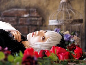 Rating: Safe Score: 0 Tags: 1girl bangs black_dress blurry blurry_background blurry_foreground closed_mouth depth_of_field dress flower lace lips looking_at_viewer red_eyes red_flower red_rose rose solo suigintou upper_body white_hair User: admin