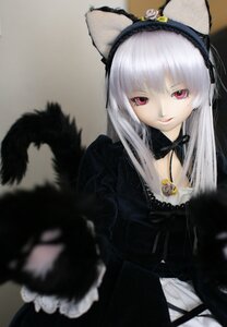 Rating: Safe Score: 0 Tags: 1girl animal_ears blurry cat_ears depth_of_field doll dress frills gothic_lolita hairband lips lolita_fashion long_hair long_sleeves looking_at_viewer red_eyes silver_hair solo suigintou User: admin