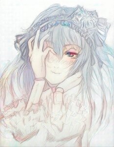 Rating: Safe Score: 0 Tags: 1girl face flower hair_ornament heterochromia image long_hair red_eyes sketch smile solo suigintou User: admin