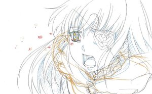 Rating: Safe Score: 0 Tags: 1girl barasuishou close-up eyebrows_visible_through_hair face heart image looking_at_viewer monochrome open_mouth sketch solo white_background User: admin