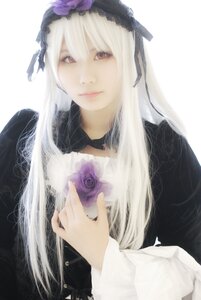 Rating: Safe Score: 0 Tags: 1girl closed_mouth flower hairband lips long_hair long_sleeves looking_at_viewer rose silver_hair simple_background solo suigintou upper_body white_background User: admin