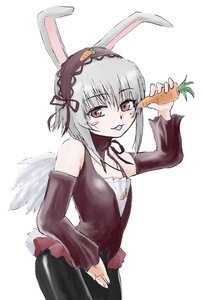 Rating: Safe Score: 3 Tags: 1girl animal_ears auto_tagged bunny_ears carrot detached_collar detached_sleeves image pantyhose short_hair silver_hair solo suigintou tail tongue tongue_out User: admin