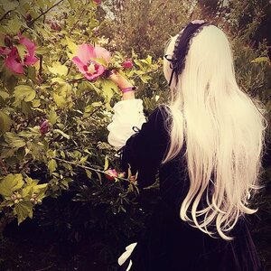 Rating: Safe Score: 0 Tags: 1girl long_hair no_humans solo suigintou tree User: admin