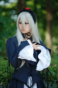 Rating: Safe Score: 0 Tags: 1girl blurry blurry_background depth_of_field dress flower hair_between_eyes hairband holding long_hair long_sleeves outdoors solo suigintou white_hair User: admin