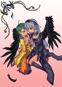 Rating: Safe Score: 0 Tags: 2girls black_wings blush dress feathers green_eyes green_hair hairband holding_hands image kanaria long_hair multiple_girls pair suigintou thighhighs wings yuri User: admin