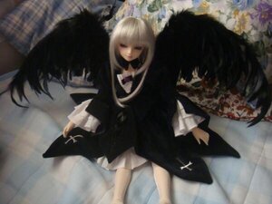Rating: Safe Score: 0 Tags: 1girl auto_tagged bangs black_dress blunt_bangs closed_mouth doll dress flower long_hair long_sleeves solo suigintou very_long_hair white_hair wings User: admin