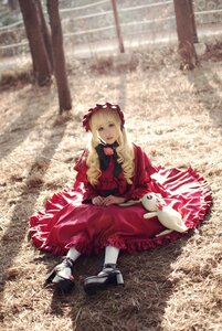 Rating: Safe Score: 0 Tags: 1girl blonde_hair bow dress frills grass long_hair outdoors realistic red_dress shinku shoes sitting solo User: admin