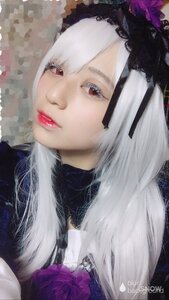 Rating: Safe Score: 0 Tags: 1girl artist_name bangs flower fur_trim hair_ornament lips lipstick long_hair looking_at_viewer makeup portrait purple_flower red_eyes red_lips solo suigintou white_hair User: admin