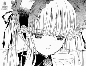 Rating: Safe Score: 0 Tags: 1girl bangs blunt_bangs bonnet closed_mouth eyebrows_visible_through_hair face flower greyscale hat image long_hair looking_at_viewer monochrome portrait rose shinku smile solo User: admin