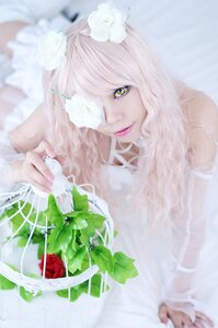 Rating: Safe Score: 0 Tags: 1girl bandages bangs blurry blurry_background blurry_foreground depth_of_field flower green_eyes kirakishou lips looking_at_viewer photo solo upper_body white_flower white_hair white_rose User: admin