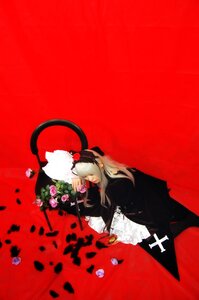 Rating: Safe Score: 0 Tags: 1girl blonde_hair flower long_hair red_background red_flower rose solo suigintou User: admin