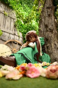 Rating: Safe Score: 0 Tags: 1girl blurry blurry_foreground brown_hair closed_eyes depth_of_field dress flower sitting sleeping solo suiseiseki User: admin