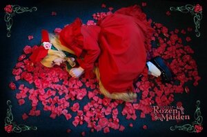 Rating: Safe Score: 0 Tags: 1girl blonde_hair bonnet closed_eyes dress flower mary_janes petals red_dress red_flower red_rose rose rose_petals shinku solo thorns yellow_flower User: admin