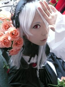 Rating: Safe Score: 0 Tags: 1girl bangs closed_mouth flower hat lips looking_at_viewer pink_rose red_eyes red_flower red_rose rose solo suigintou upper_body white_hair User: admin