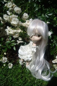 Rating: Safe Score: 0 Tags: 1girl auto_tagged bangs brown_eyes doll dress flower kirakishou leaf long_hair looking_at_viewer plant rose solo very_long_hair vines white_dress white_flower white_hair white_rose User: admin