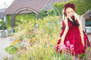 Rating: Safe Score: 0 Tags: 1girl blonde_hair blue_eyes blurry bonnet day dress flower long_hair long_sleeves looking_at_viewer outdoors red_dress shinku solo standing umbrella User: admin