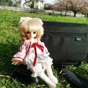 Rating: Safe Score: 0 Tags: 1girl alice_margatroid blonde_hair day doll dress frills grass hinaichigo ivy outdoors overgrown plant short_hair sitting solo tree User: admin