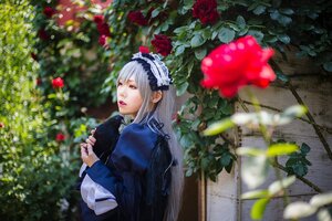 Rating: Safe Score: 0 Tags: 1girl bangs blurry blurry_background depth_of_field flower hairband lips long_hair long_sleeves looking_at_viewer maid_headdress red_flower red_rose rose solo suigintou upper_body User: admin