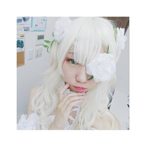 Rating: Safe Score: 0 Tags: 1girl bangs closed_mouth flower green_eyes kirakishou leaf lips long_hair looking_at_viewer one_eye_covered photo plant solo white_flower white_hair User: admin