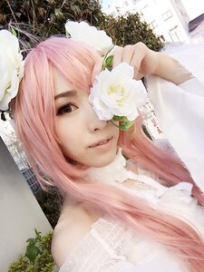 Rating: Safe Score: 0 Tags: 1girl black_eyes bouquet building flower kirakishou lips looking_at_viewer photo pink_hair plant solo upper_body white_flower User: admin