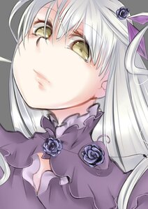 Rating: Safe Score: 0 Tags: 1girl barasuishou blue_flower blue_rose closed_mouth eyebrows_visible_through_hair flower hair_ornament image long_hair looking_at_viewer purple_flower purple_rose rose silver_hair simple_background solo yellow_eyes User: admin