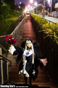 Rating: Safe Score: 0 Tags: 1girl blonde_hair closed_eyes dress flower rose solo stairs suigintou User: admin