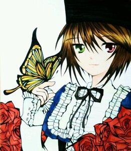 Rating: Safe Score: 0 Tags: 1girl bouquet brown_hair bug butterfly dress flower frills green_eyes hat heterochromia image insect long_sleeves looking_at_viewer pink_rose red_eyes red_flower red_rose ribbon rose rose_petals short_hair smile solo souseiseki top_hat yellow_rose User: admin