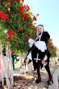 Rating: Safe Score: 0 Tags: 1girl apron dress flower long_hair maid outdoors red_flower red_rose rose solo suigintou User: admin