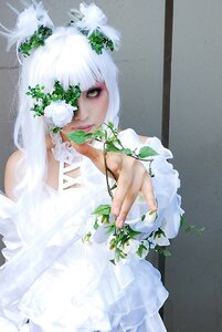 Rating: Safe Score: 0 Tags: 1girl bangs bare_shoulders closed_mouth dress flower kirakishou leaf lips long_hair plant solo white_dress white_hair wings User: admin