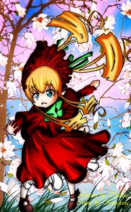 Rating: Safe Score: 0 Tags: 1girl blonde_hair blue_eyes bonnet bow clenched_teeth dress flower image long_hair long_sleeves outdoors red_dress shinku shoes solo teeth User: admin