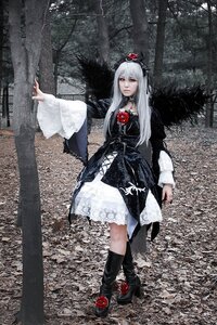 Rating: Safe Score: 0 Tags: 1girl apple choker dress frills gothic_lolita lolita_fashion long_hair rose solo suigintou tree User: admin